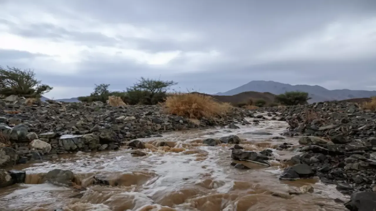 أمطار تبوك تصل إلى 118.5 ملم في يوم واحد مع تحذيرات من عواصف رعدية قادمة